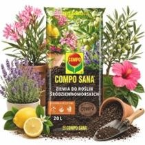 Hibiskus nie kwitnie? Dobierz podłoże, które pobudzi go do kwitnienia