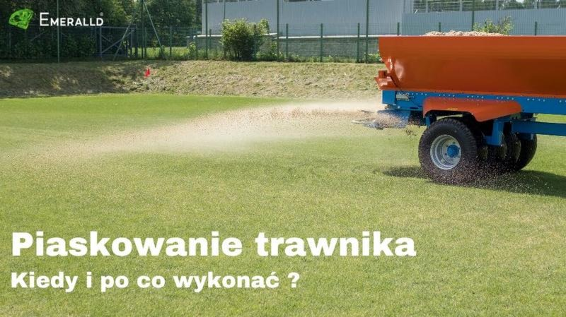 Ile piasku na trawnik? Oblicz właściwą ilość na m²