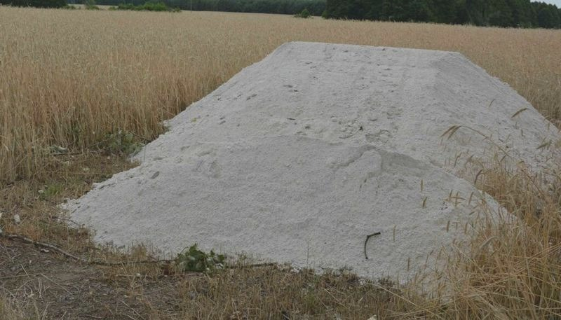 Jak odkwasić ziemię w ogrodzie i przywrócić roślinom dobre plony?