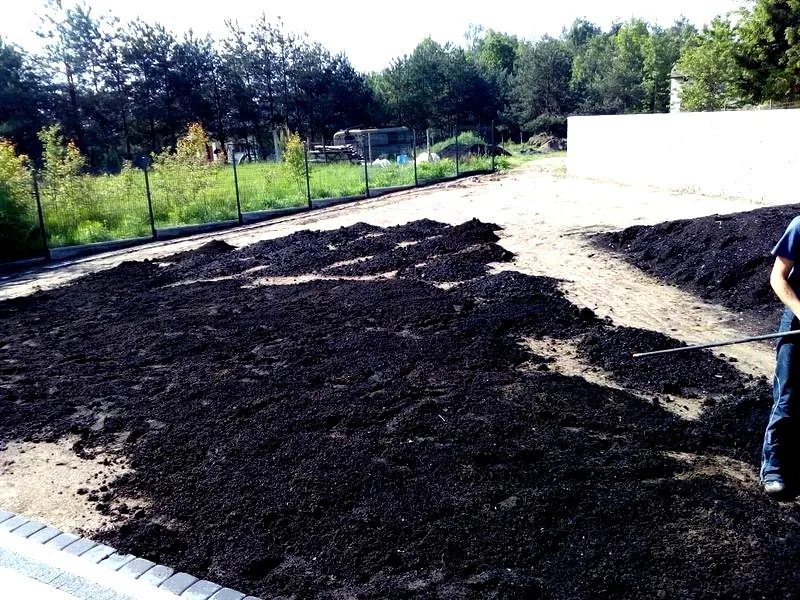 Jak założyć trawnik od podstaw – plan prac krok po kroku