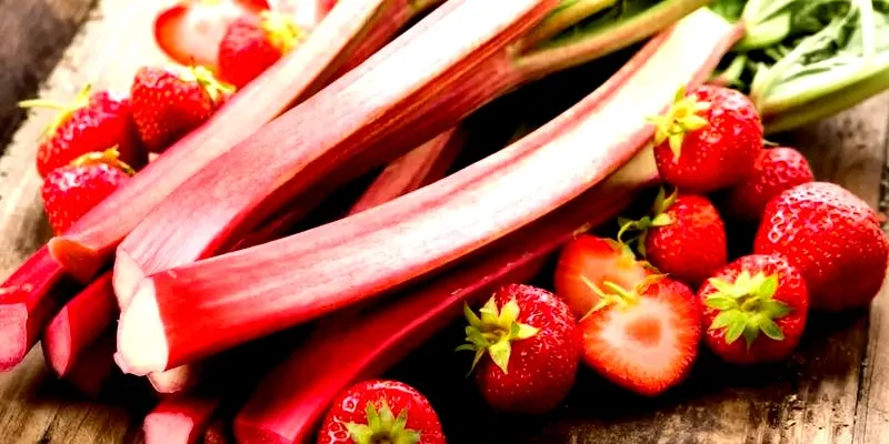 Kiedy rabarbar może być trujący i jak jeść go bezpiecznie