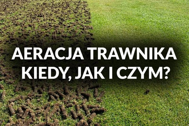 Kiedy użyć aeratora na trawniku? Najlepszy termin i praktyczne wskazówki