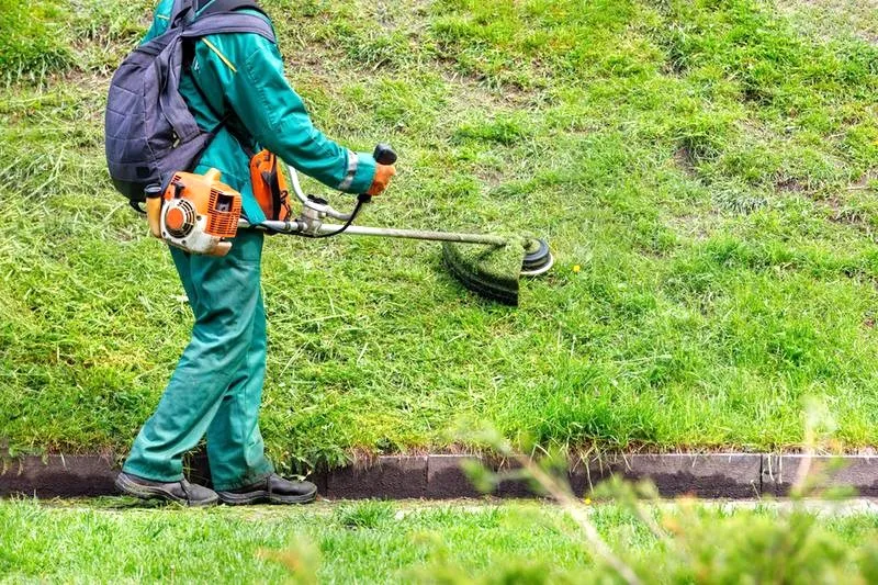 Koszenie mokrej trawy - co musisz wiedzieć o ryzykach i bezpieczeństwie?