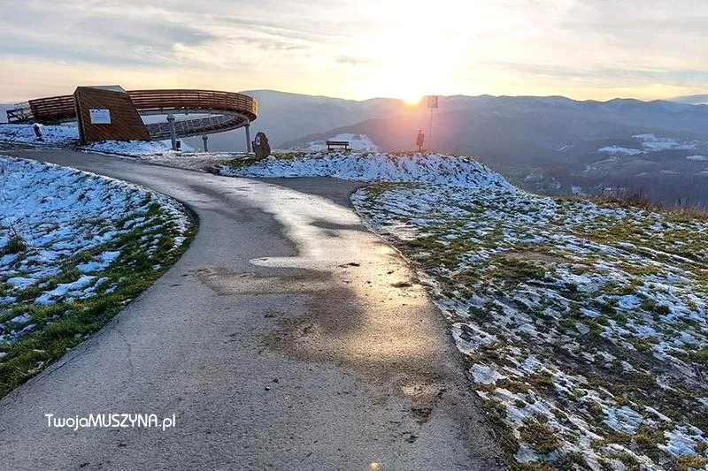 Adaptacja ślimaków do zimy