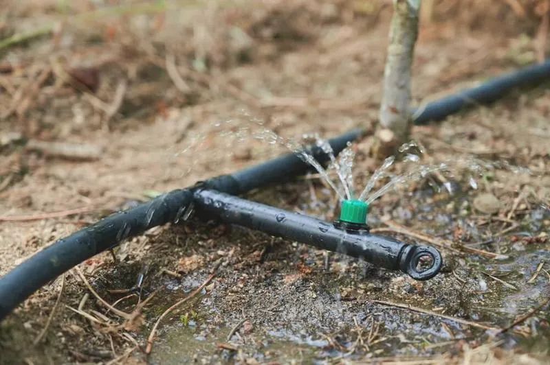 Automatyczne podlewanie trawnika