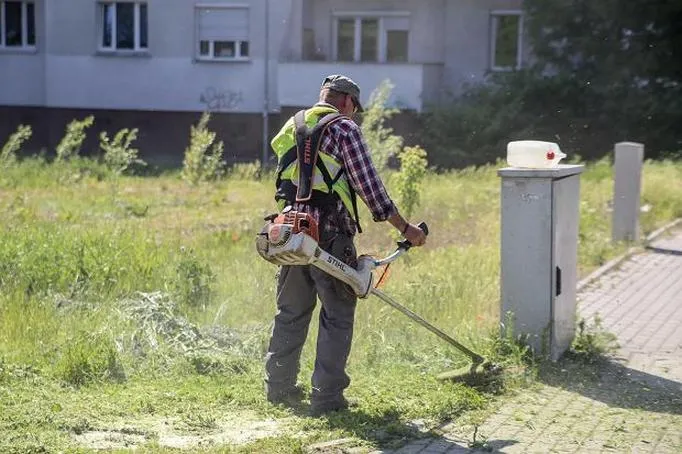 Bezpieczeństwo podczas koszenia