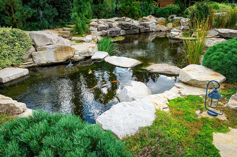 Cleaning and conserving pond