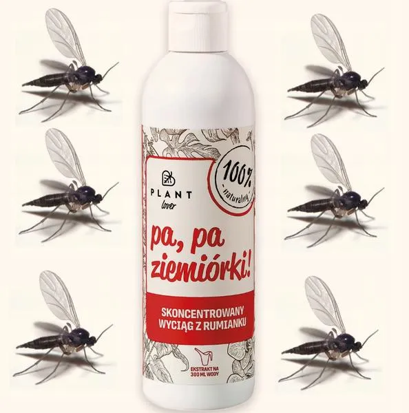 Domowe pułapki na ziemiórki