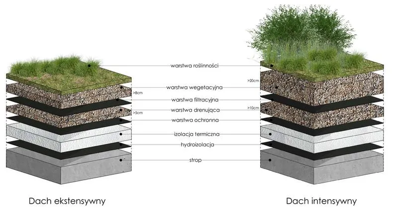 Estetyka zielonych dachów