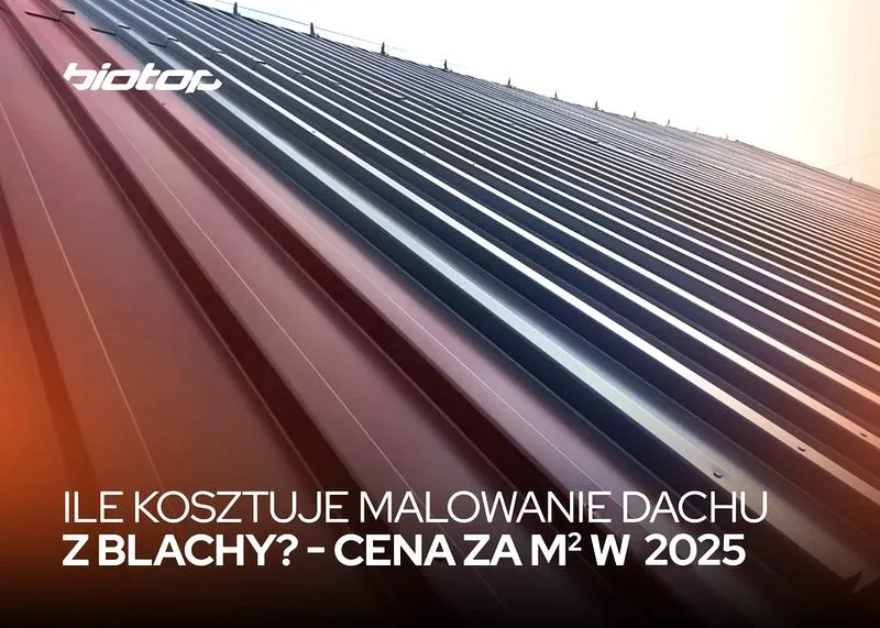 Koszt malowania dachu samochodu