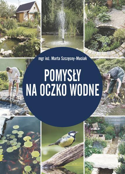 Linia brzegowa oczka wodnego