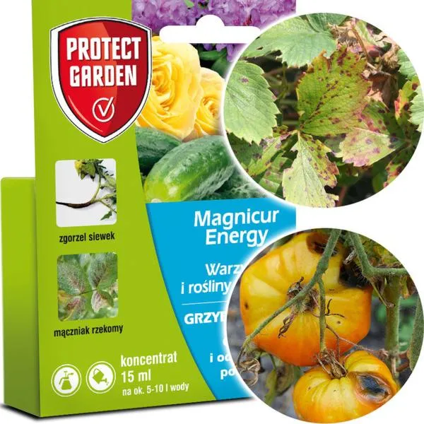 Magnicur Energy