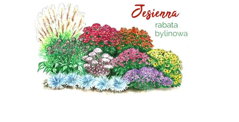 Najlepsze byliny do cienia