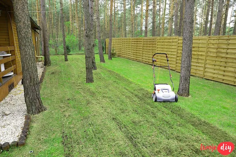 Podlewanie trawnika wiosną