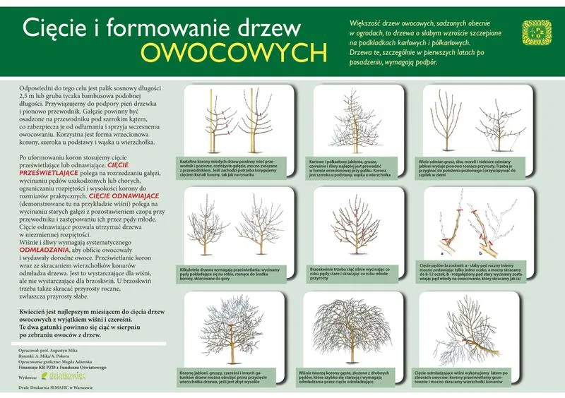 Poprawa plonowania drzew