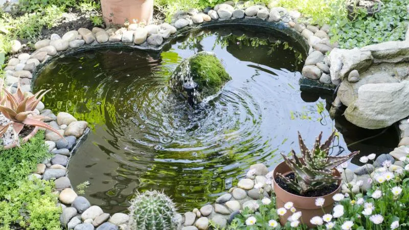Preparing pond for winter