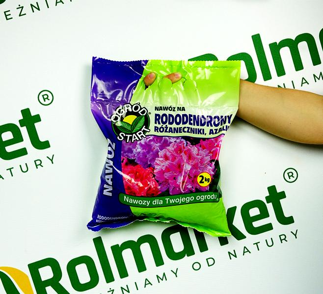 Rododendrony do ogrodu