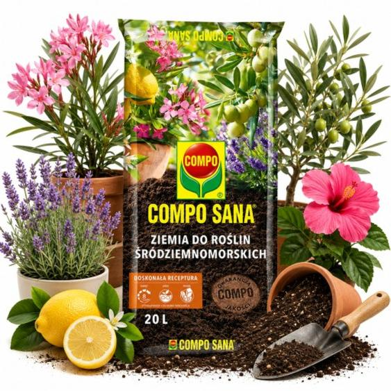 Warunki zimowania hibiskusa