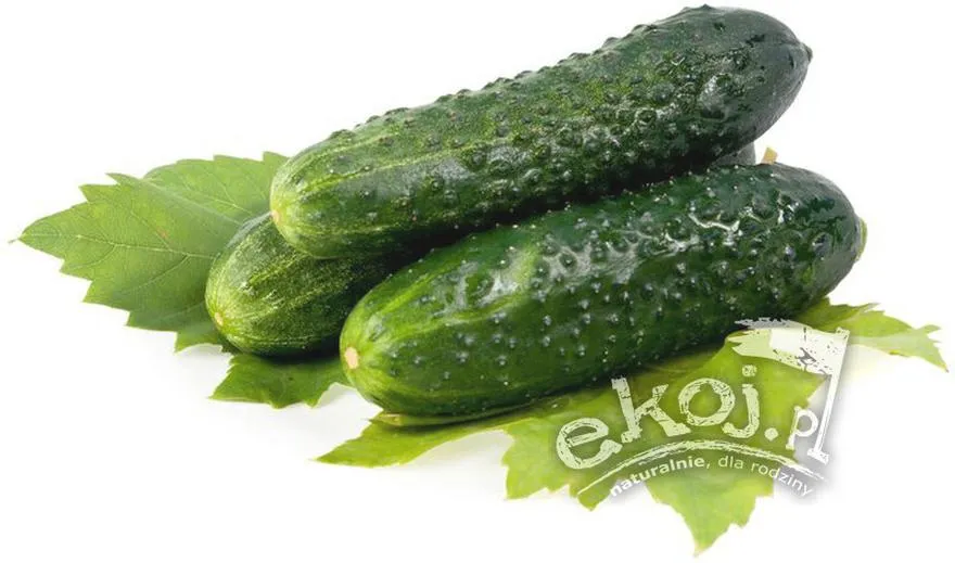 Zalewa do ogórków kiszonych