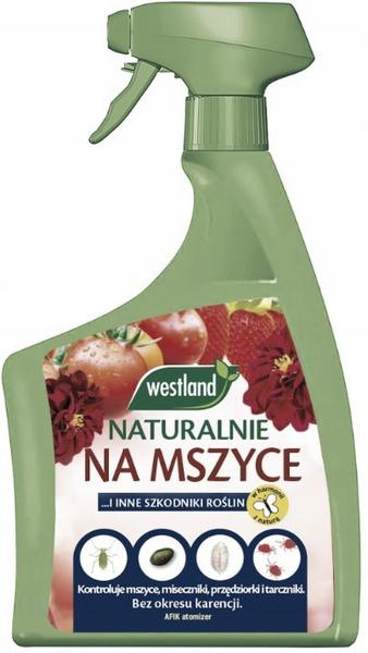 Zwalczanie mszyc